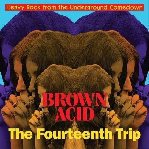 Виниловая пластинка Brown Acid - Fourtee - Brown Acid - Fourteenth Trip (various Artists) [New Vinyl