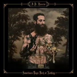 Виниловая пластинка JP Harris - Sometimes Dogs Bark at Nothing [New Vinyl LP]