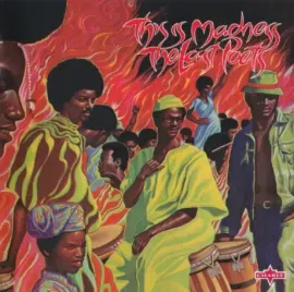 THE LAST POETS - This Is Madness (2CD)