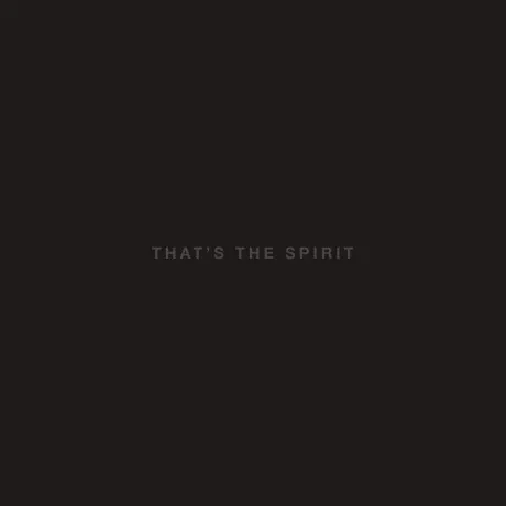 BRING ME THE HORIZON That's The Spirit CD