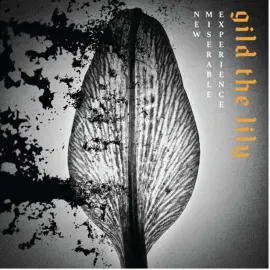 Виниловая пластинка New Miserable Experience – Gild The Lily (Релиз 2026)
