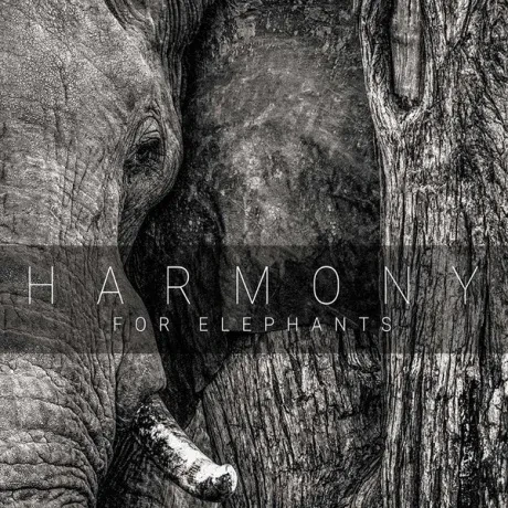 VARIOUS ARTISTS - Harmony For Elephants (CD)