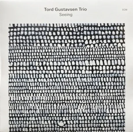 Виниловая пластинка Tord Gustavsen – Seeing