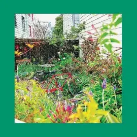 The Reds, Pinks and Purples - Unwishing Well NEW Vinyl