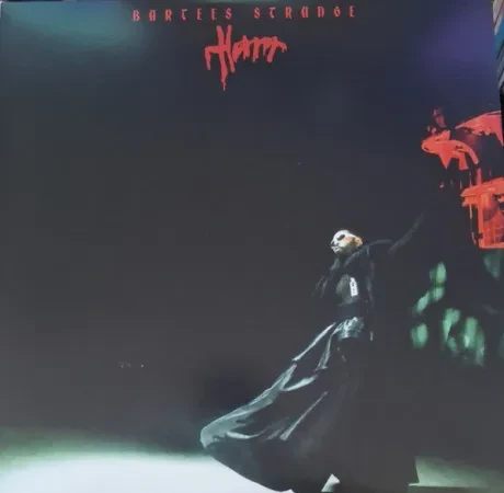 Виниловая пластинка Bartees Strange – Horror