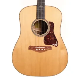 Taylor Gold Label Collection 810e Acoustic-Electric