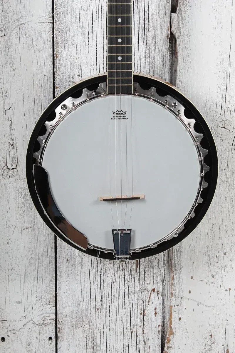 Washburn B9 Americana Series 5 String Resonator Back Banjo Gloss Sunburst