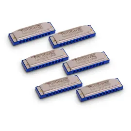 Hohner PentaHarp Harmonica 6Pack (Am, Em, Dm, Gm, Bbm, Low Fm)