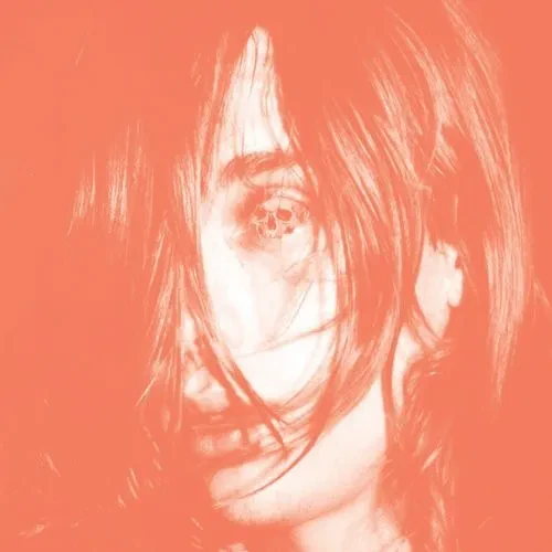 Виниловая пластинка Deerhunter - Microcastle [New Vinyl LP]