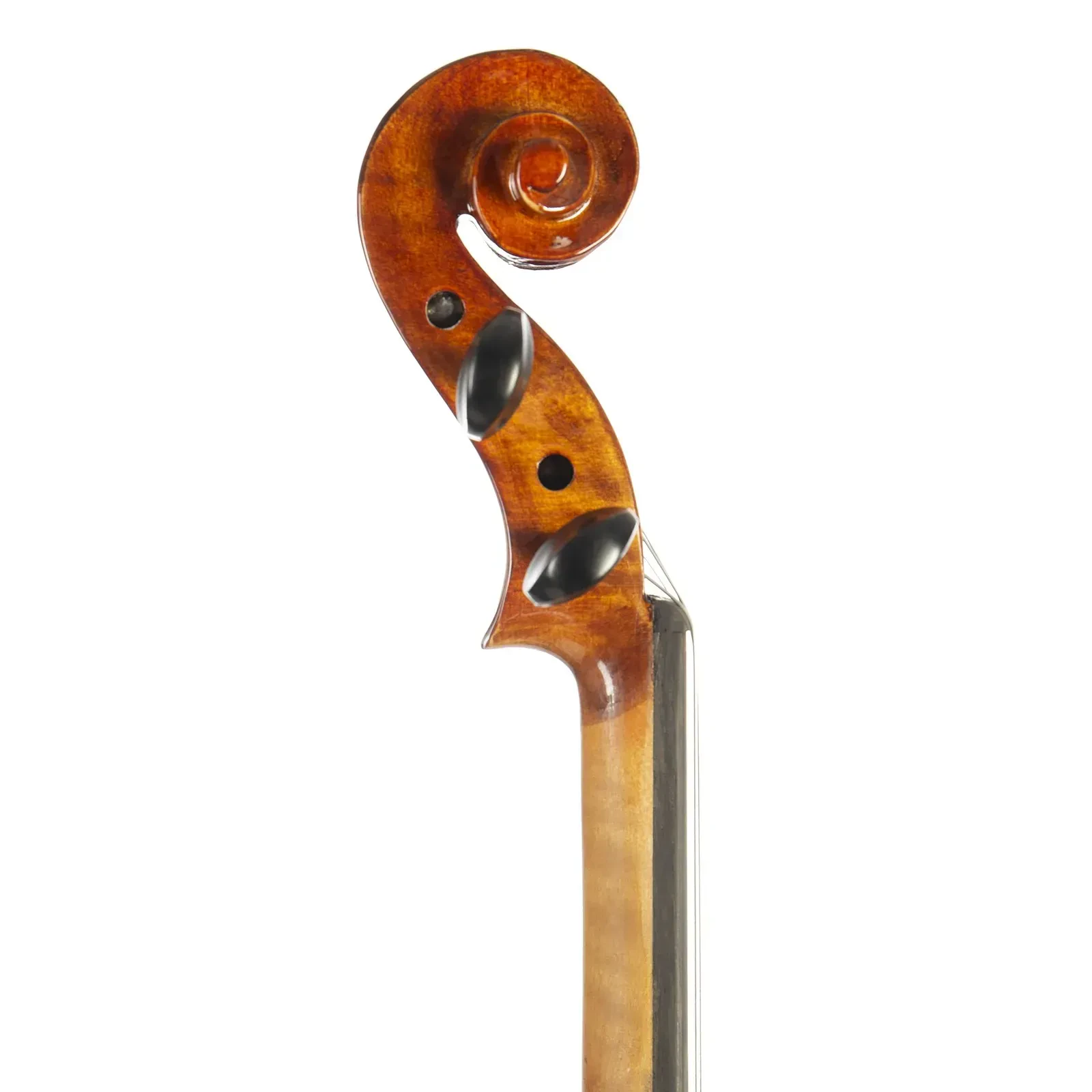 Изображение №8