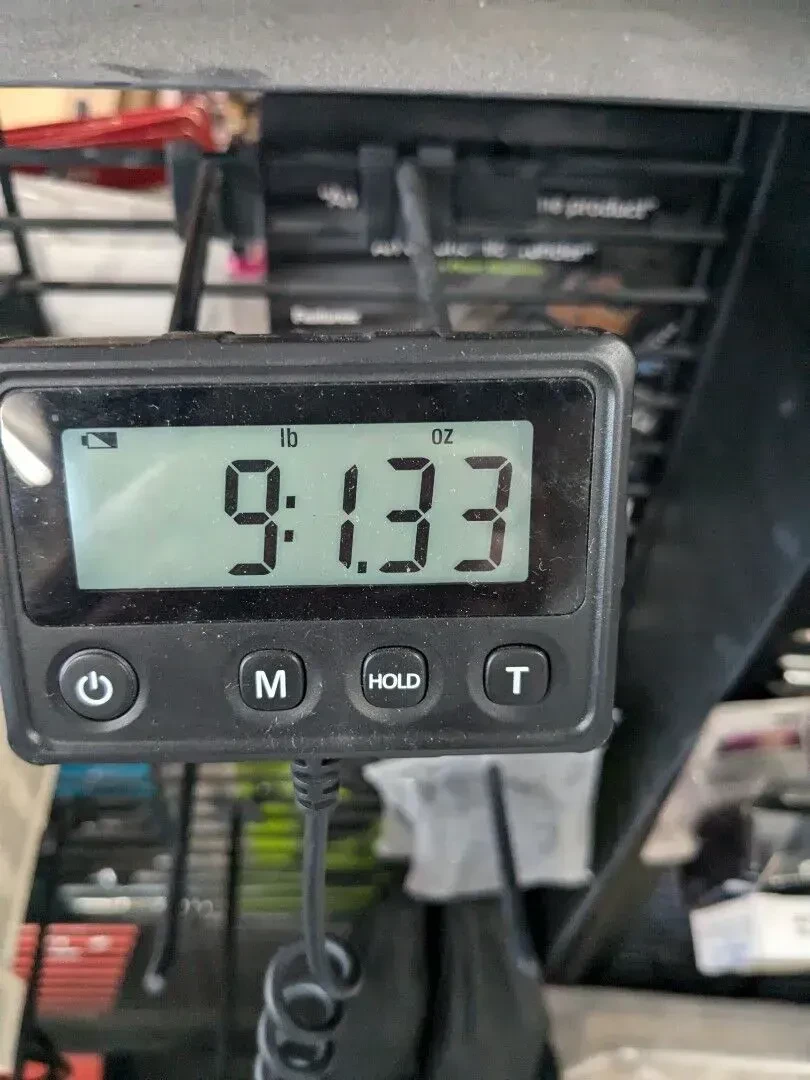 Изображение №2