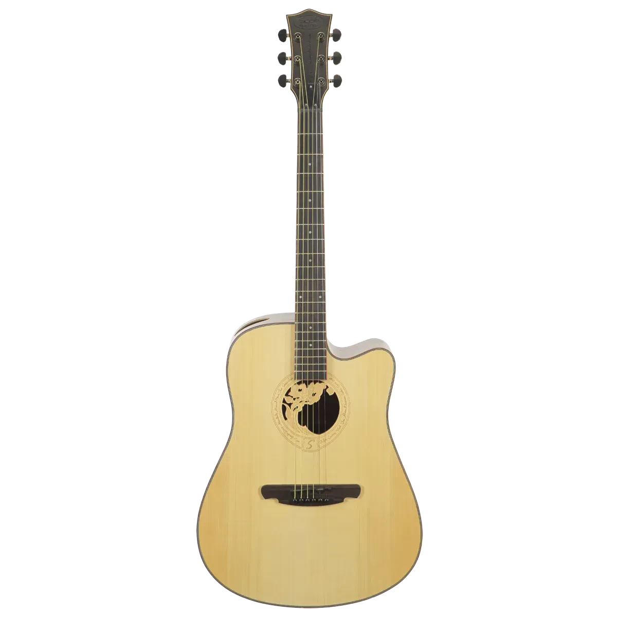 Акустическая гитара SQOE SQ-L Set