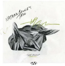 Виниловая пластинка Nathan Bowles Trio - Are Possible NEW Vinyl