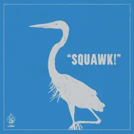 Savak - Squawk! NEW Vinyl
