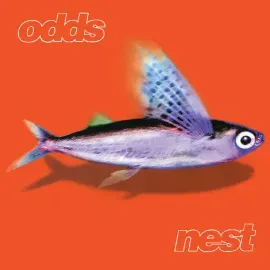 Виниловая пластинка The Odds - Nest [New Vinyl LP]