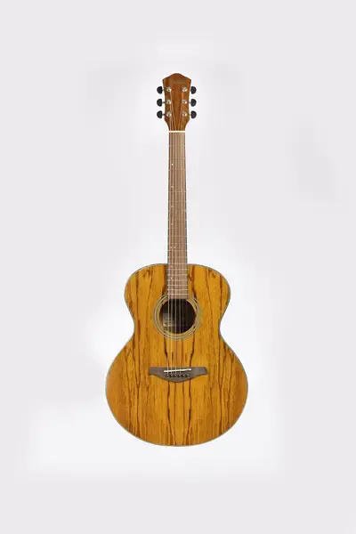 Акустическая гитара Sevillia DS-300 TY
