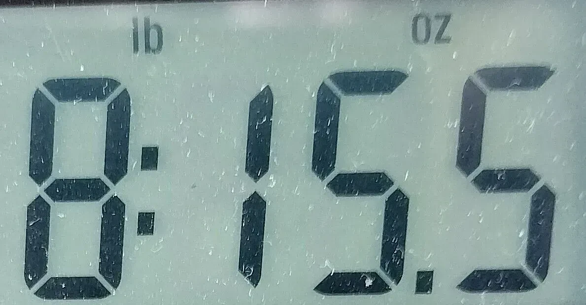 Изображение №12