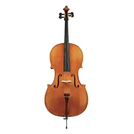 Виолончель GEWA Concert cello Georg Walther