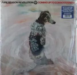 Виниловая пластинка Pure Reason Revolution – Coming Up To Consciousness