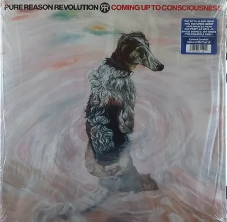 Виниловая пластинка Pure Reason Revolution – Coming Up To Consciousness