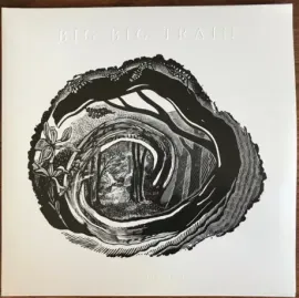 Виниловая пластинка BIG BIG TRAIN – Woodcut (2LP)