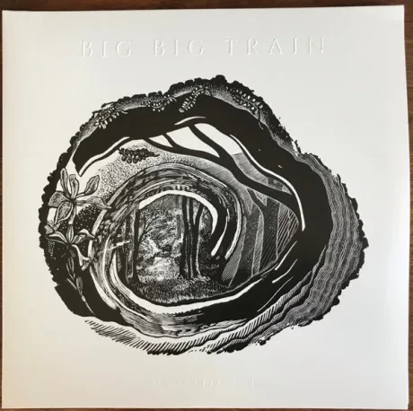 Виниловая пластинка BIG BIG TRAIN – Woodcut (2LP)