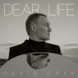 Виниловая пластинка David Gray - Dear Life NEW Vinyl