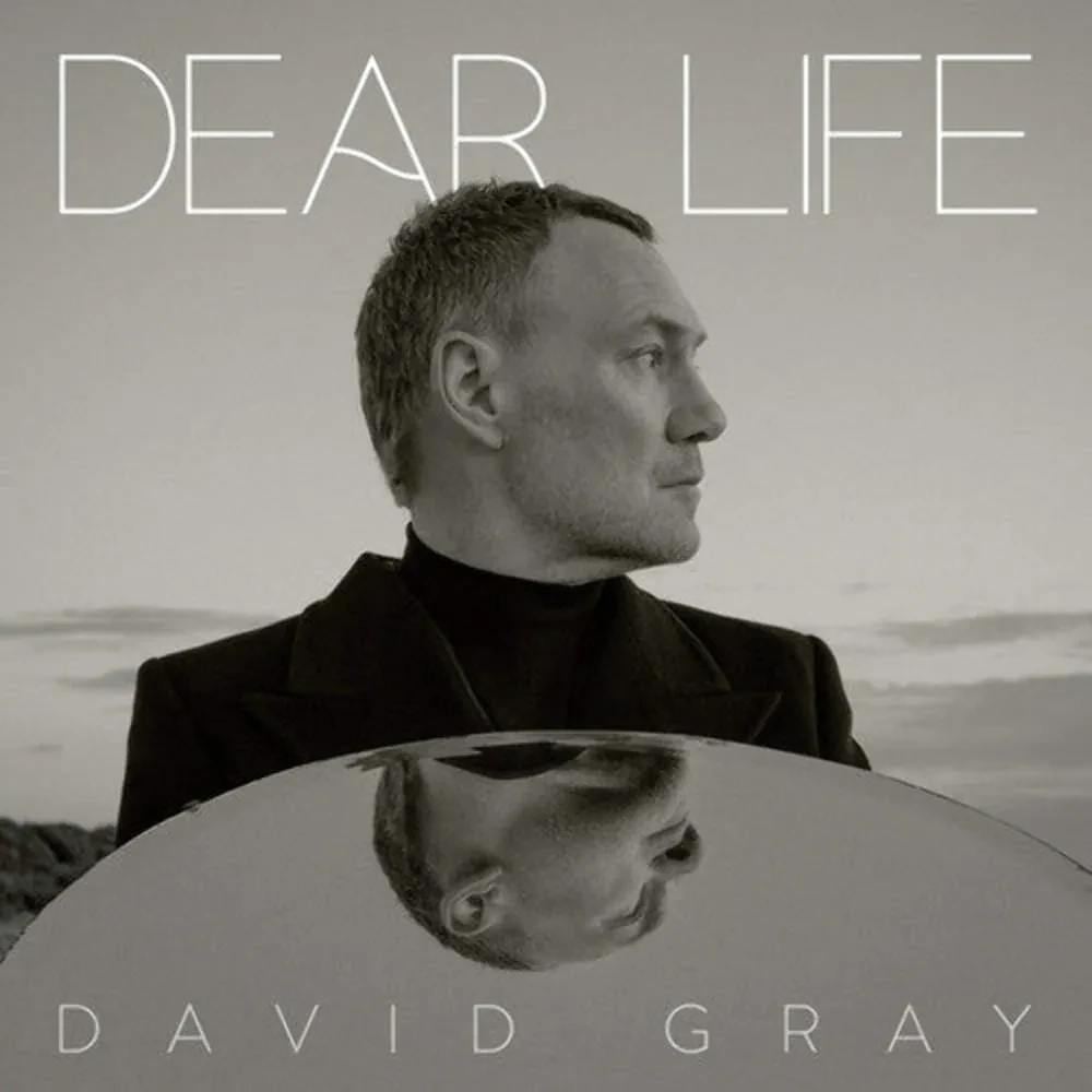 Виниловая пластинка David Gray - Dear Life NEW Vinyl