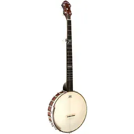 Банджо Gold Tone CB-100 Open Back Banjo Natural