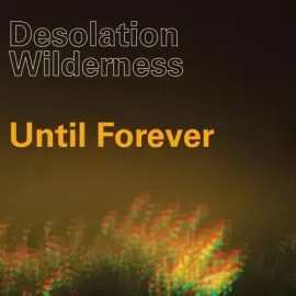 Виниловая пластинка Desolation Wilderness – Until Forever (Релиз 2008)