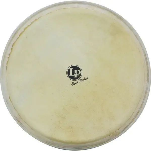 Пластик для барабана Latin Percussion 12.5" Djembe Head