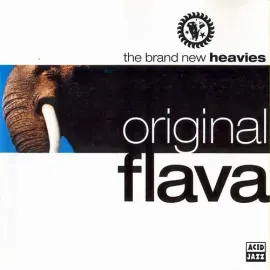 Виниловая пластинка The Brand New Heavies - Original Flava [New Vinyl LP]