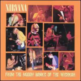 Виниловая пластинка Nirvana - From The Muddy Banks Of The Wishkah NEW Vinyl