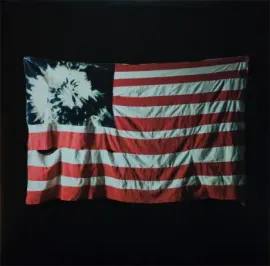 Виниловая пластинка AKRON/FAMILY – Set 'Em Wild, Set 'Em Free (2LP)