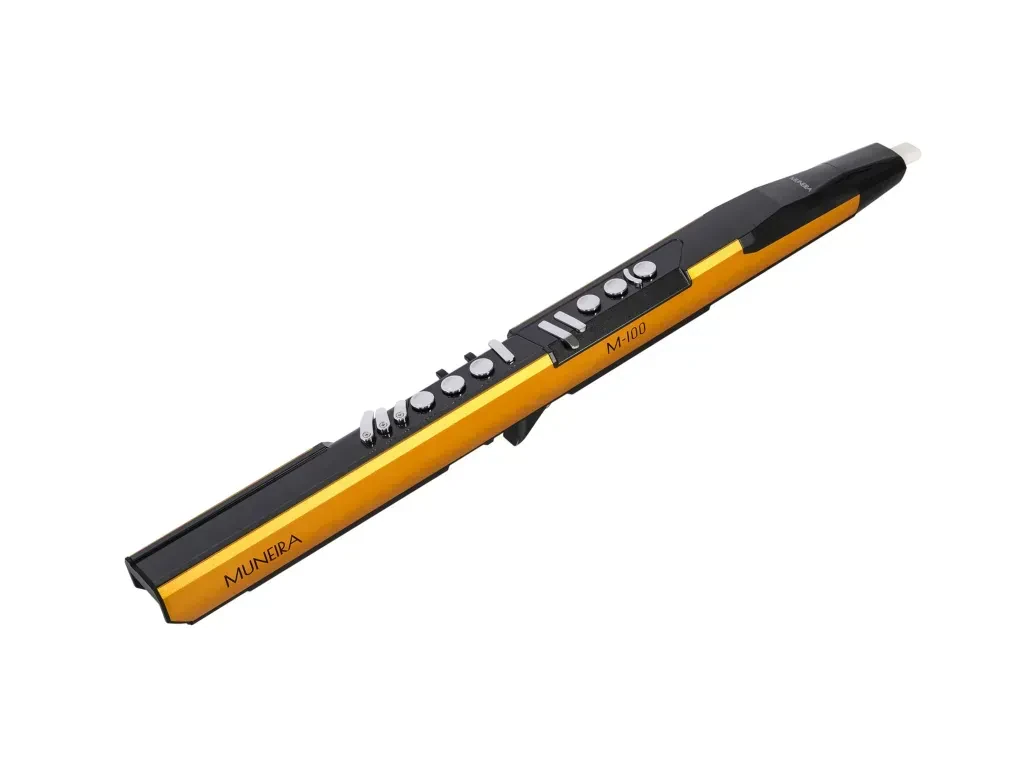 Аэрофон цифровой Hailun M100 Gold