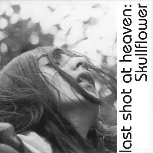 Виниловая пластинка Skullflower - Lost Shot At Heaven [New Vinyl LP]