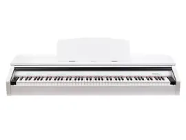 Цифровое пианино компактное Medeli DP250RB-GW