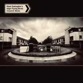 Виниловая пластинка Noel Gallagher – Council Skies 2023 Sealed