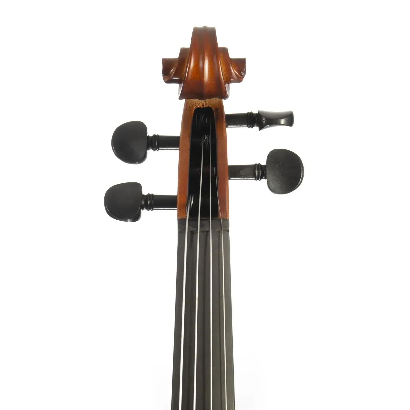 Изображение №5