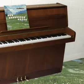 Виниловая пластинка Grandaddy – The Sophtware Slump ..... on a wooden piano (Релиз 2026)