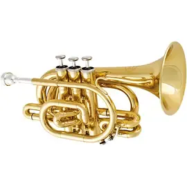 Труба Jupiter JTR710 Series Bb Pocket Trumpet