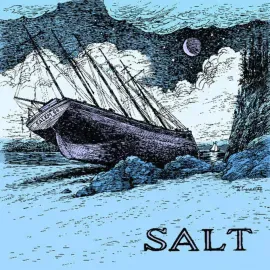 Виниловая пластинка Salem 66 – Salt (Релиз 2025)