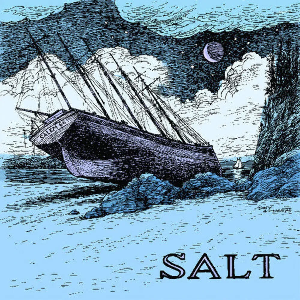 Виниловая пластинка Salem 66 – Salt (Релиз 2025)