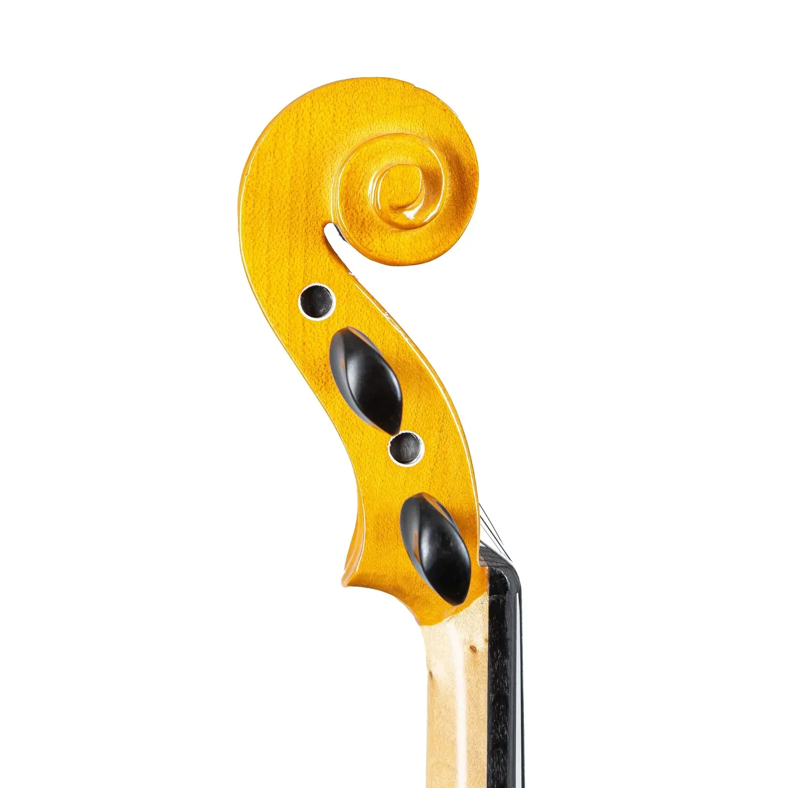 Изображение №6