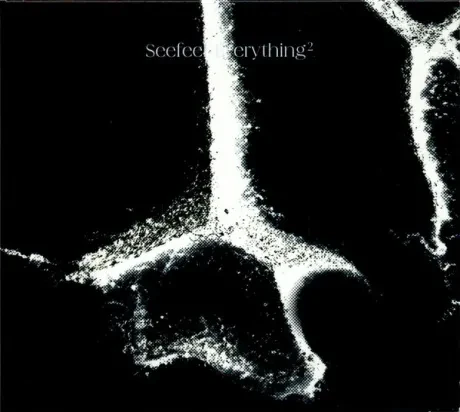 SEEFEEL - Everything Squared (CD)
