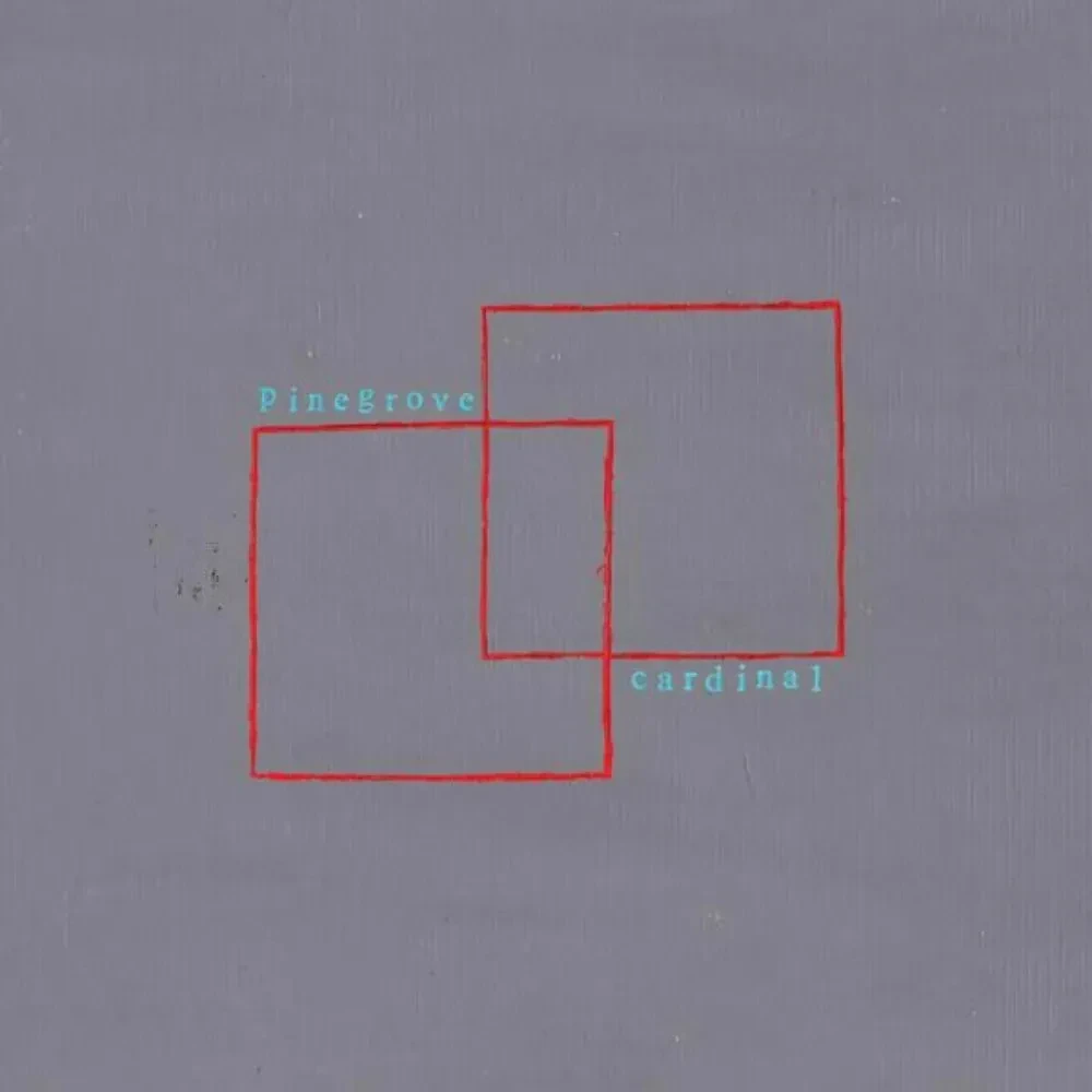 Pinegrove - Cardinal NEW Sealed Vinyl LP Album