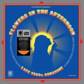 Виниловая пластинка Various Artists – Flowers In The Afternoon (Релиз 2025)