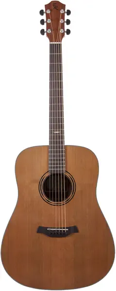 Акустическая гитара Baton Rouge AR11C/D-LH