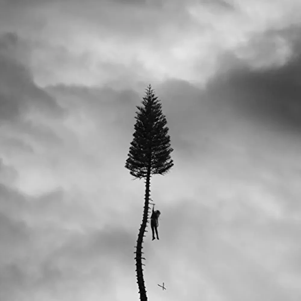 Виниловая пластинка Manchester Orchestra – A Black Mile To The Surface Sealed