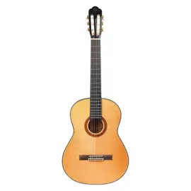 Классическая гитара OMNI CG-180 с чехлом
